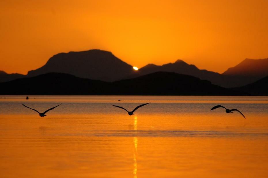 El Vivero Del Mar Menor La Manga del Mar Menor Exteriér fotografie